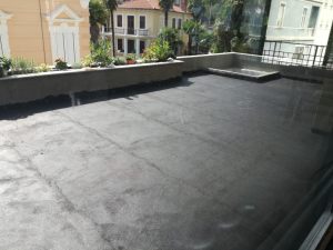 IMG_20170821_150215 (Large)